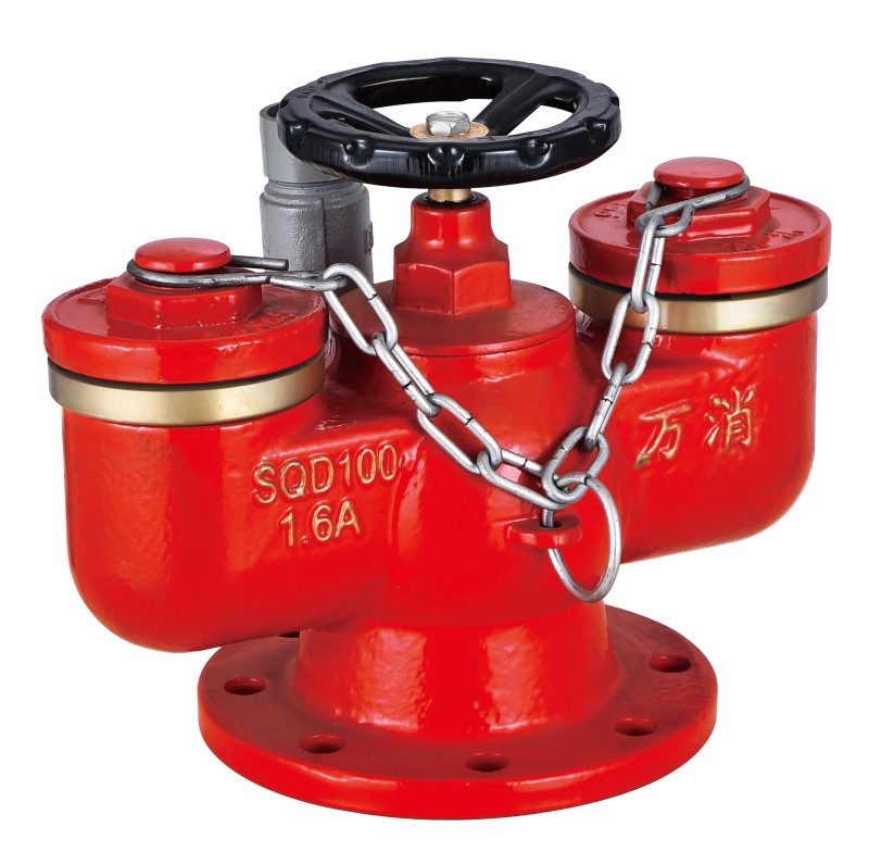 多用式消防水泵接合器消防SQD100-1.6A