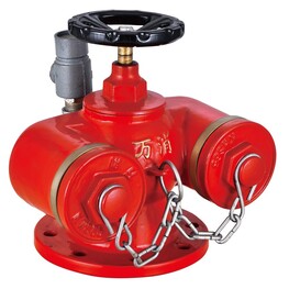 多用式消防水泵接合器消防SQD100-1.6.jpg
