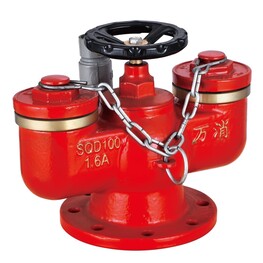 多用式消防水泵接合器消防SQD100-1.6A.jpg